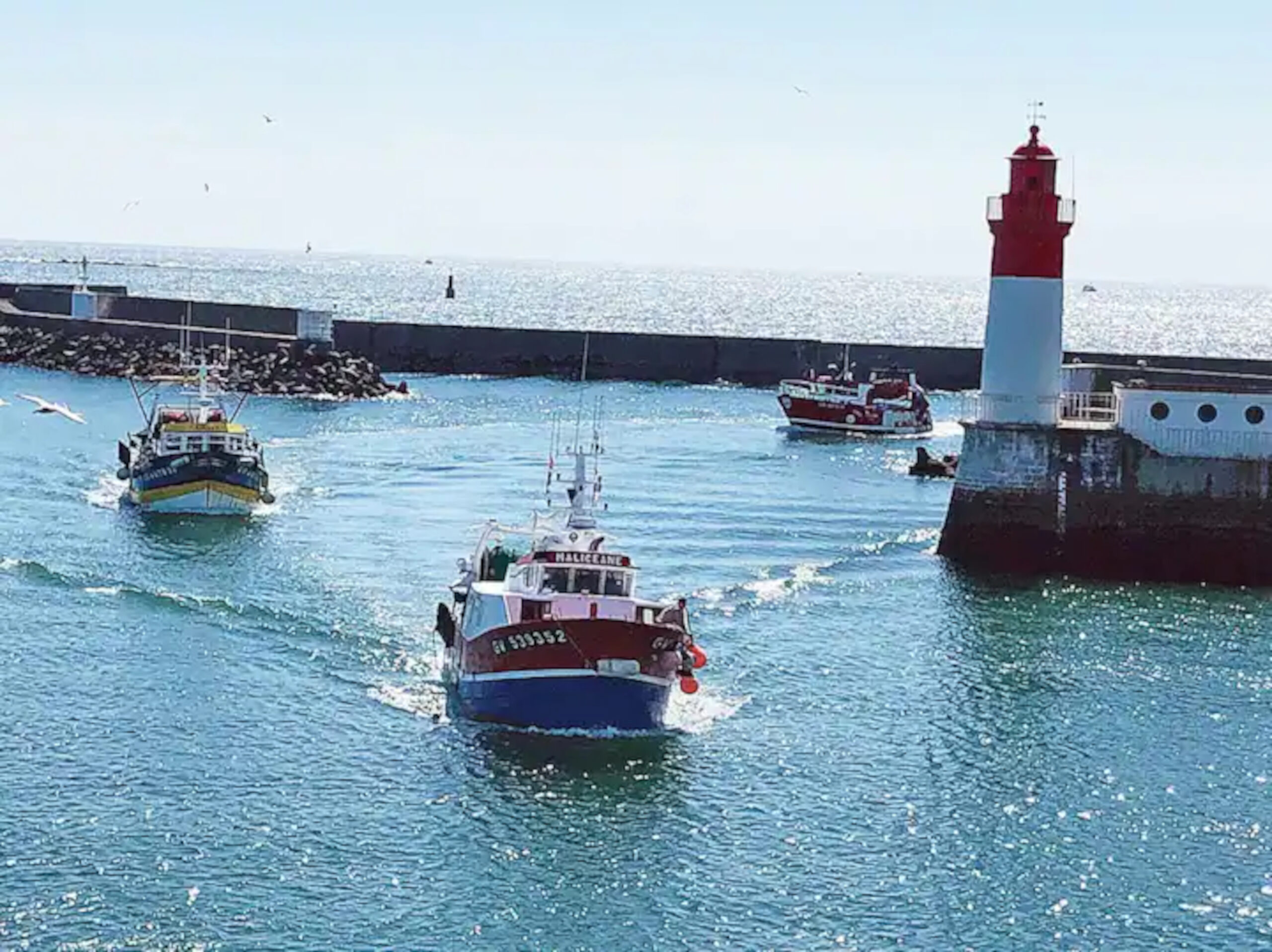 Arrivée des bateaux